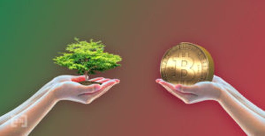Madera y Bitcoin