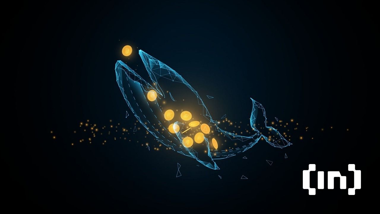 كبار مستثمري البتكوين يتجنبون المضاربة مع استمرار الانخفاض لسعر الأصل المشفر 