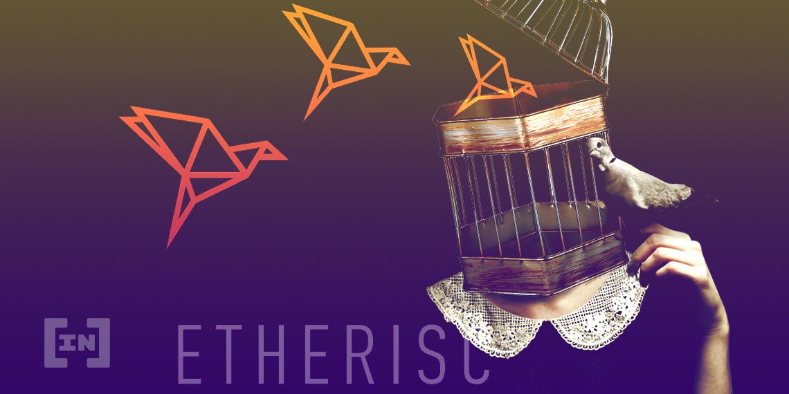 DeFi Daily: Etherisc öffnet seine Pforten
