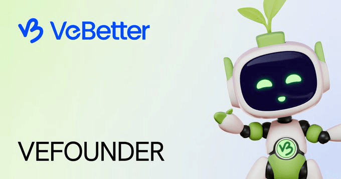 VeFounder interface screenshot