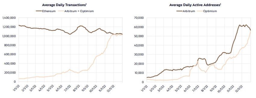 Biểu đồ tăng trưởng của hệ sinh thái layer 2. Nguồn: Ark Invest