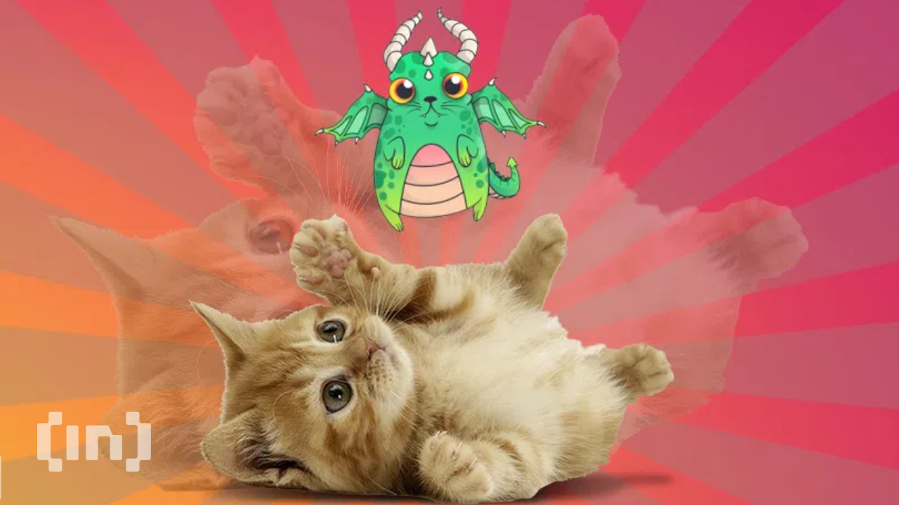 Watch out for a New CryptoKitties Movie