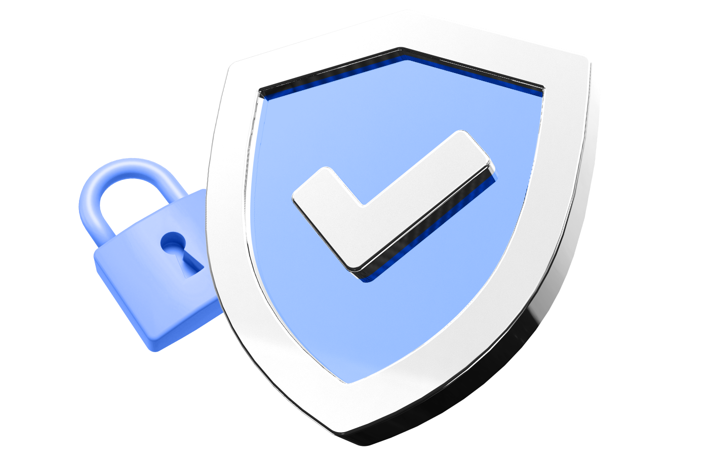 Verification Methodology