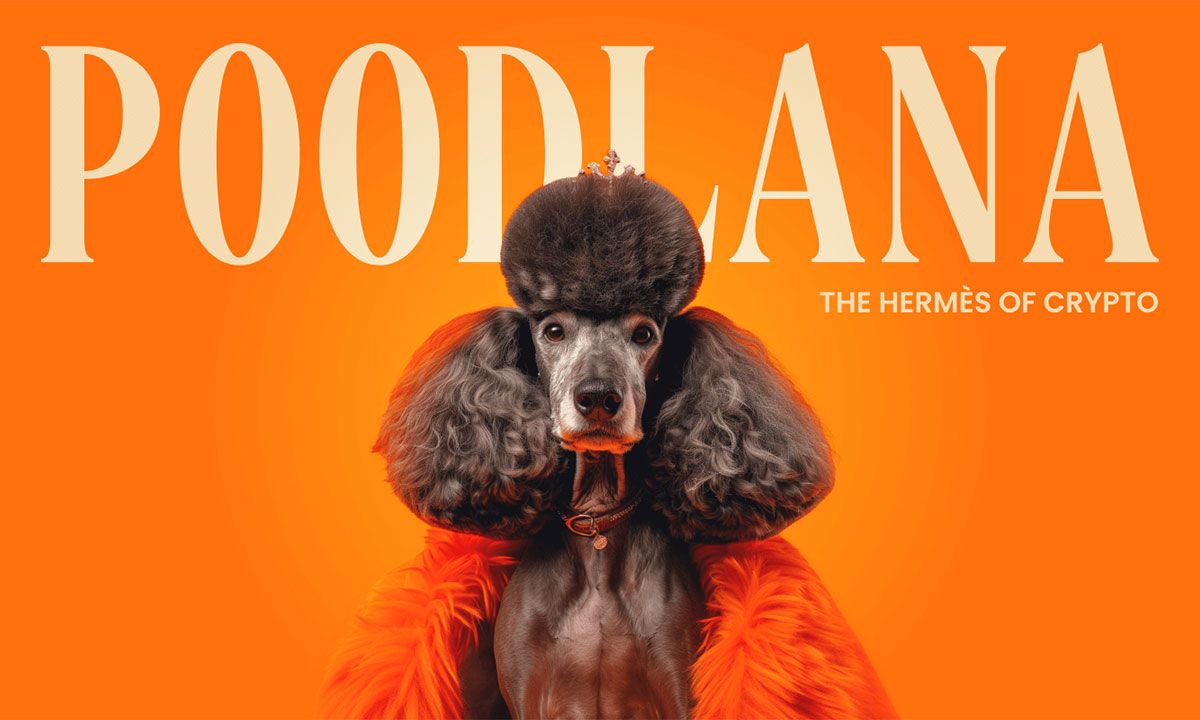 24-Hour Frenzy Before Listing: Poodlana Presale Closing—$7.1m Raised