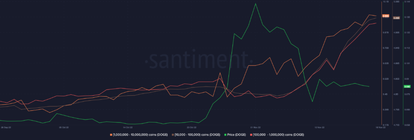Baleias continuam acumulando Dogecoin (DOGE) durante queda do mercado