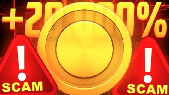 Com alta de 20.000%, $MEME pode ser uma fraude