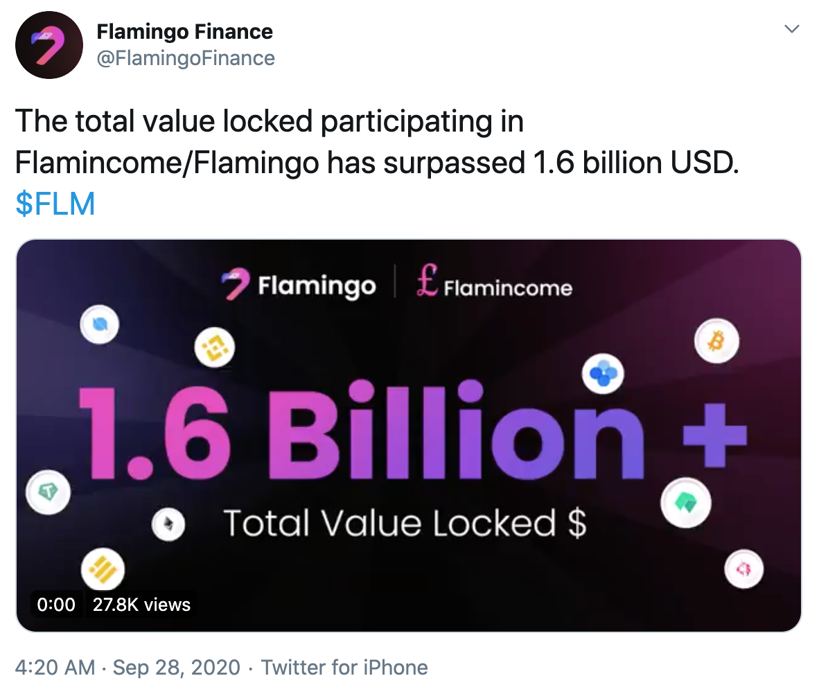 Tuit Flamingo Finance