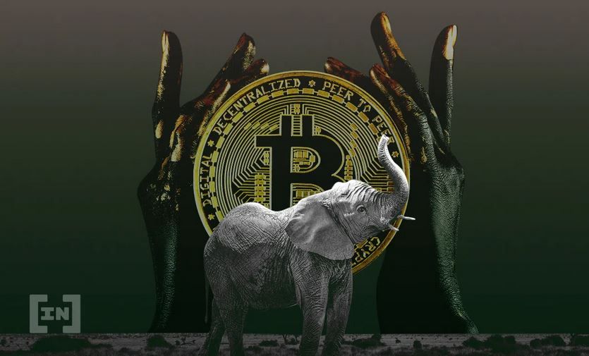 جمهورية أفريقيا الوسطى.. ثاني دولة في العالم تعتمد "بيت كوين" كعملة وطنية