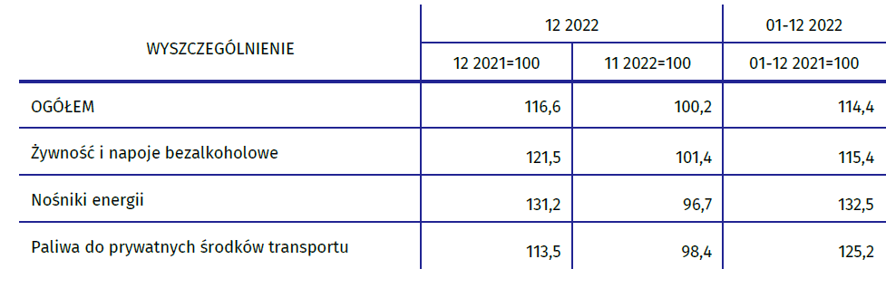 Szczegóły inflacji za grudzień 2022 roku