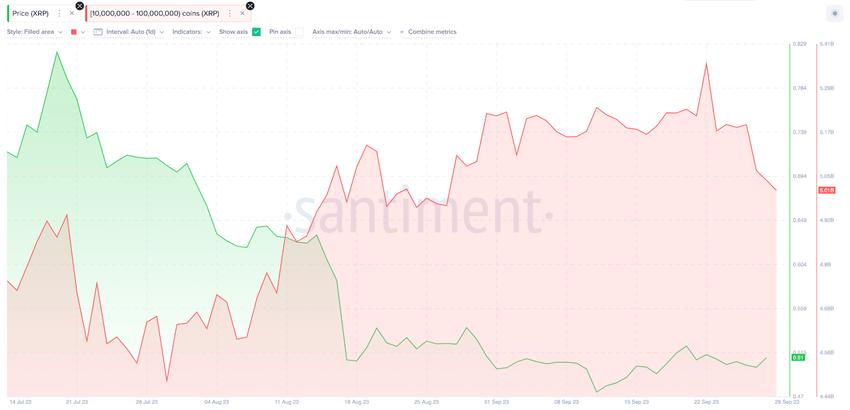 Ripple Wale Wallet Stände