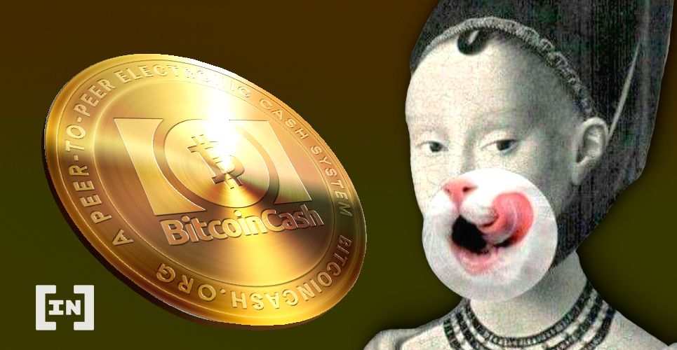 Bitcoin Cash Major Upgrade Planned Tomorrow, Market Shrugs It Off