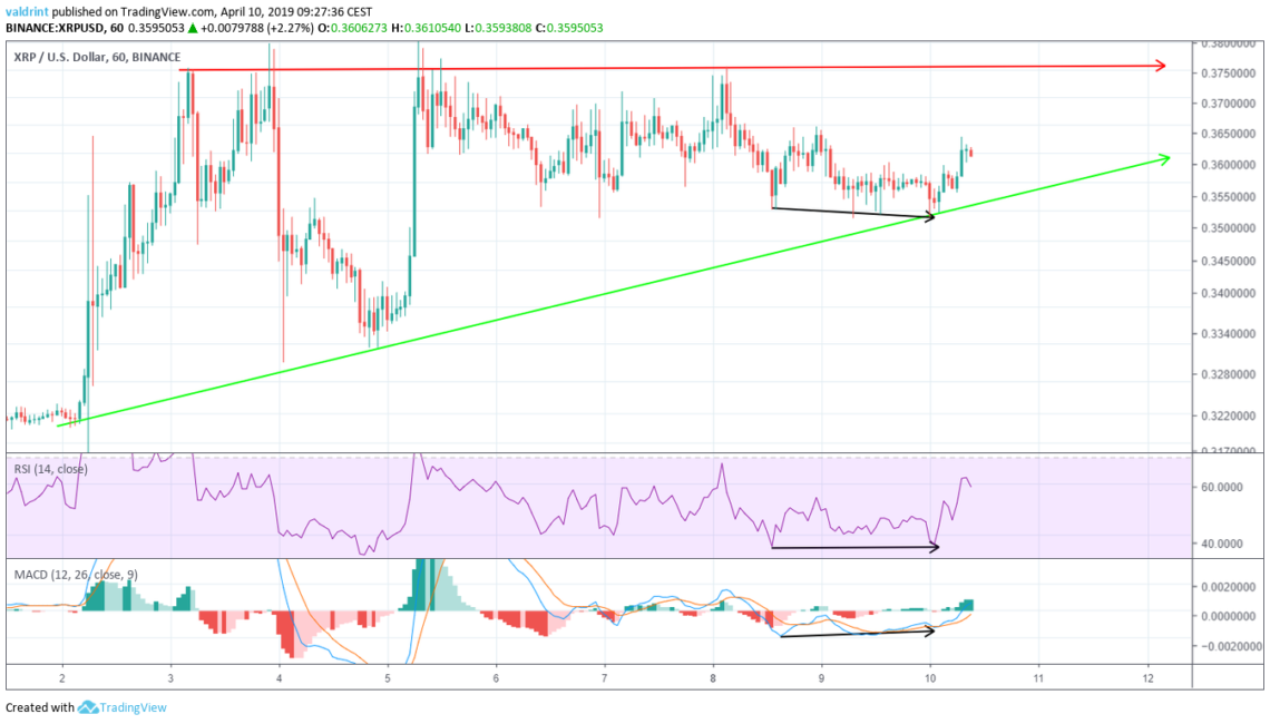 XRP Divergence