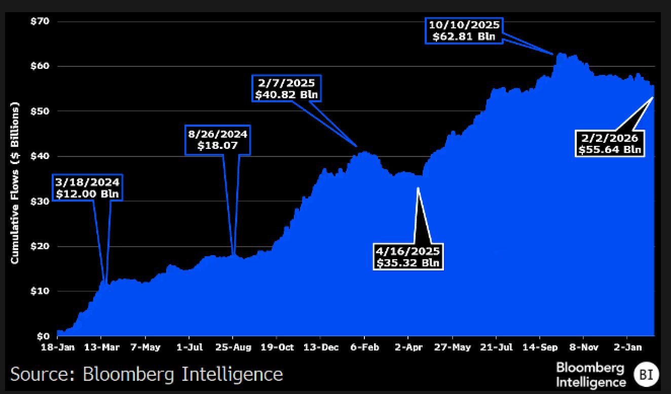 Bitcoin ETF Cumulative Net Flows Peaked at $63 Billion Before Falling to $53 Billion