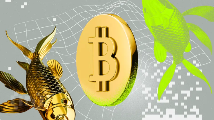 비트코인 vs 금, 어느 것이 더 나은 투자일까요? [2025년]