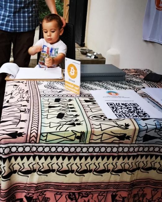 Bitcoin Jungle Adoption