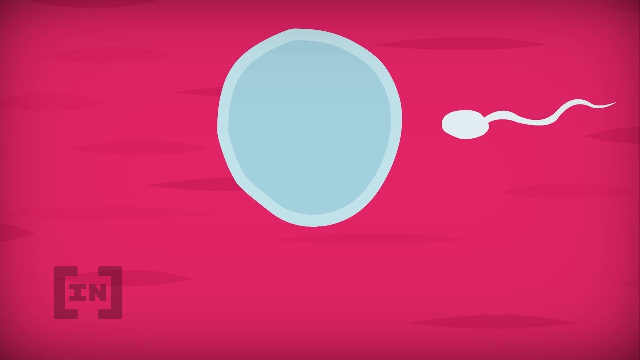 Sex to Earn: Biến thể lạ lùng của mô hình Action to Earn