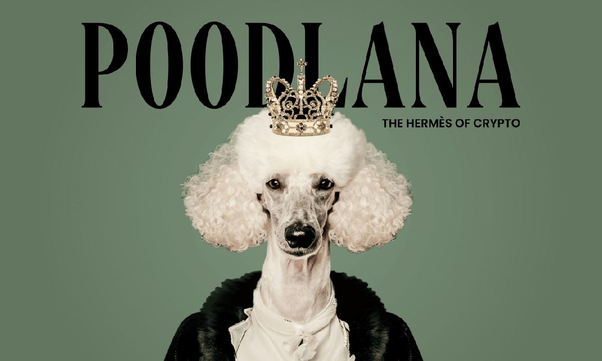 เหลืออีกแค่ 24 ขั่วโมง: โลกกำลังรอการเปิดตัวอย่างยิ่งใหญ่ของ Poodlana