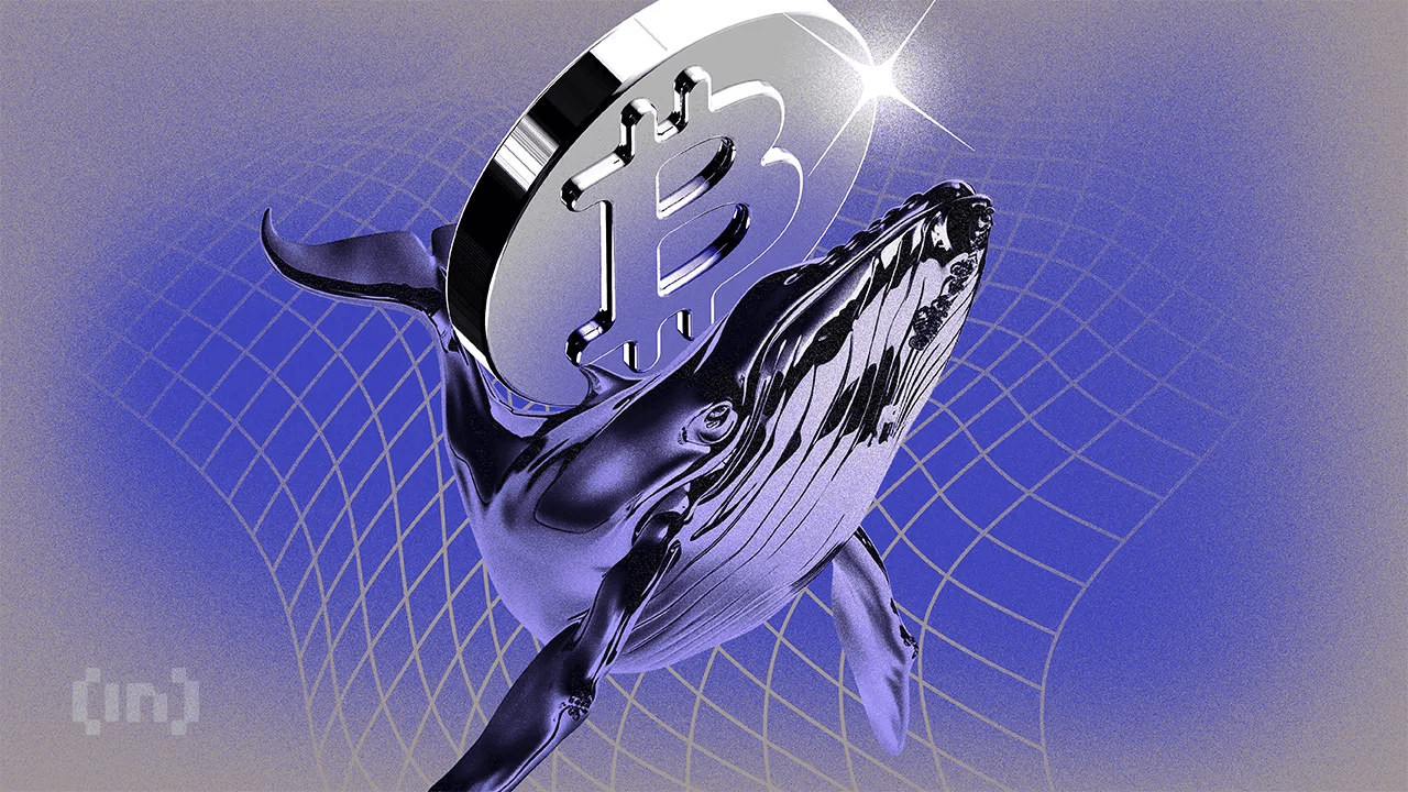 Ballena mueve $16 millones en Bitcoin tras 14 años de letargo