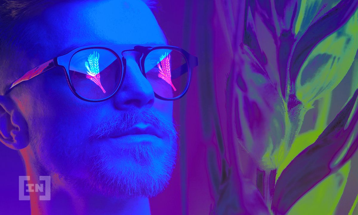 GrowthDefi Offers The Best Yields On Wheat Token