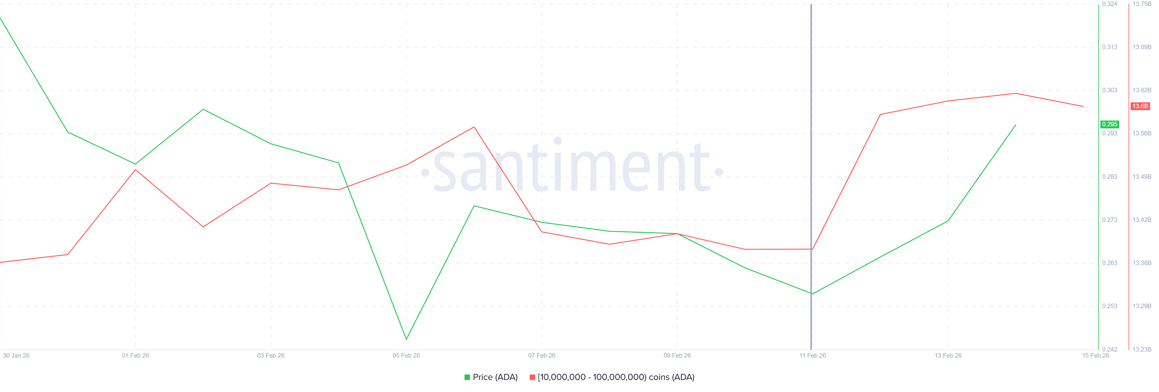 Cardano Whale Holdings. 