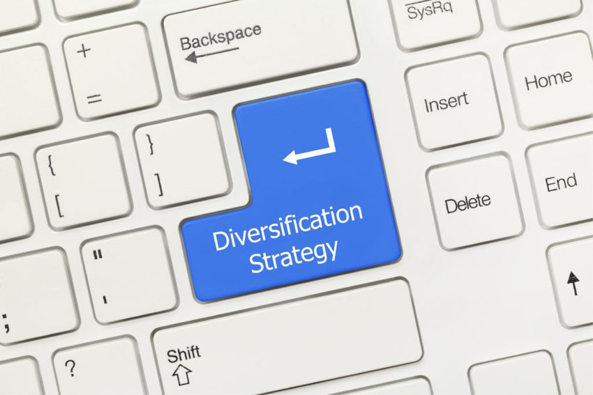 diversification strategy