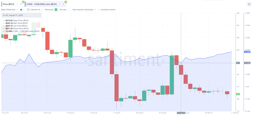 Can Whale Investors Flip the Bitcoin Cash (BCH) Price Trend? | Whales Wallet Balances - Sept 2023.