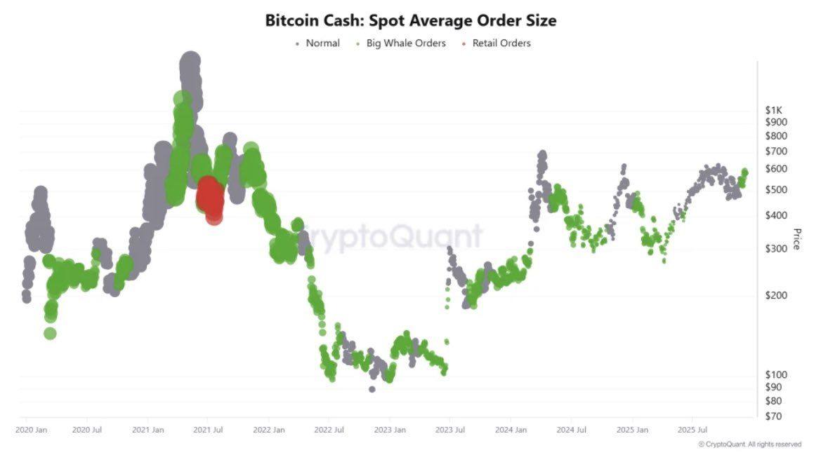 Bitcoin Cash Spot Average Order Size. Source: CryptoQuant