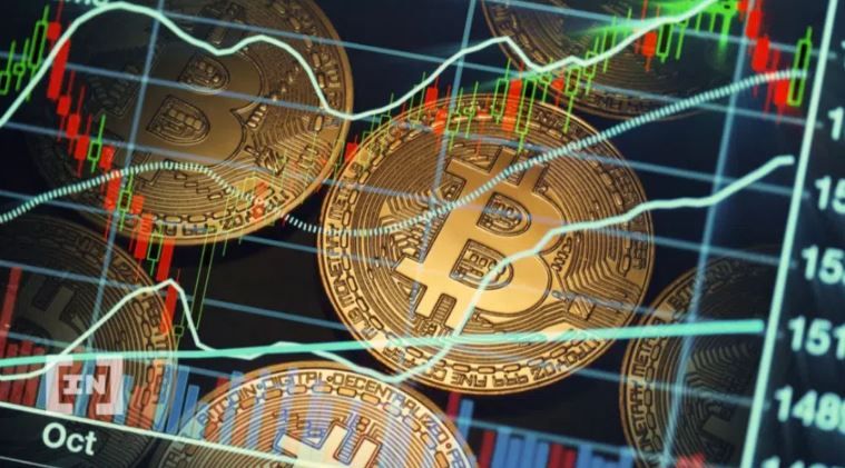 암호화폐 겨울에서 살아남으려면? 주식시장에서 배워라