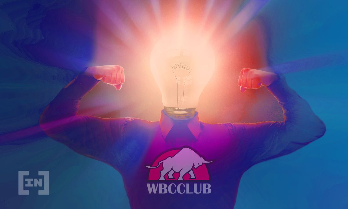 Обзор клуба трейдеров White Bulls Crypto Club: отзывы и цены проекта