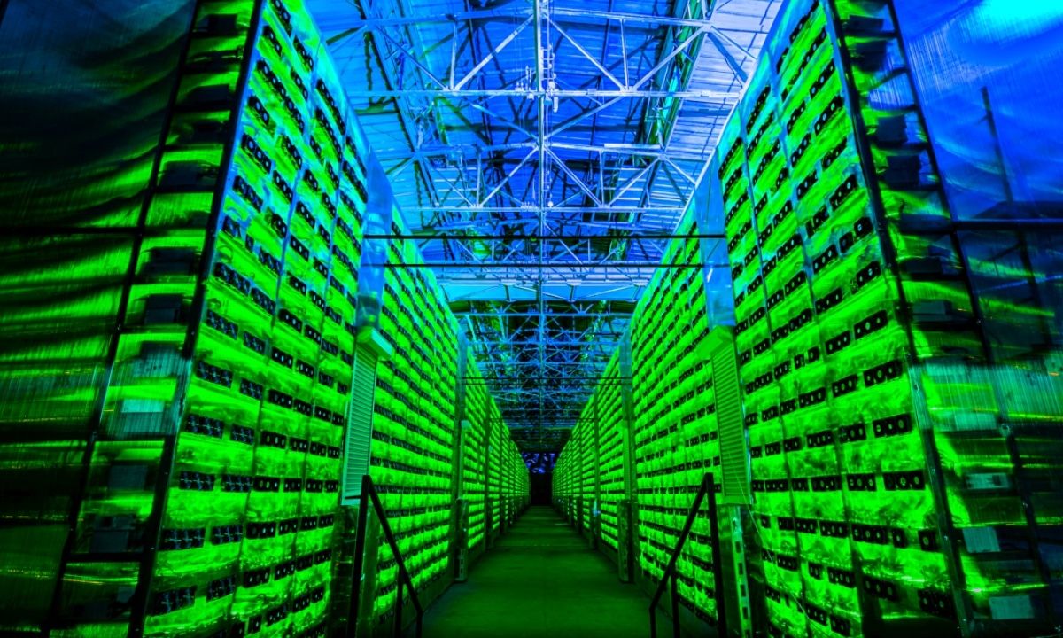 Minto Prepares to Increase Stakers’ Rewards