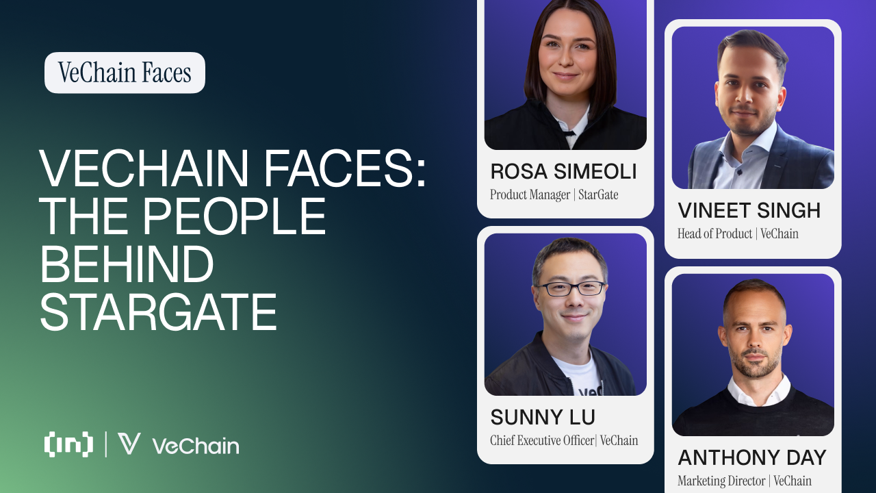 vechain står overfor: hvordan stargate omformer deltagelse, incitamenter og institutionel adgang