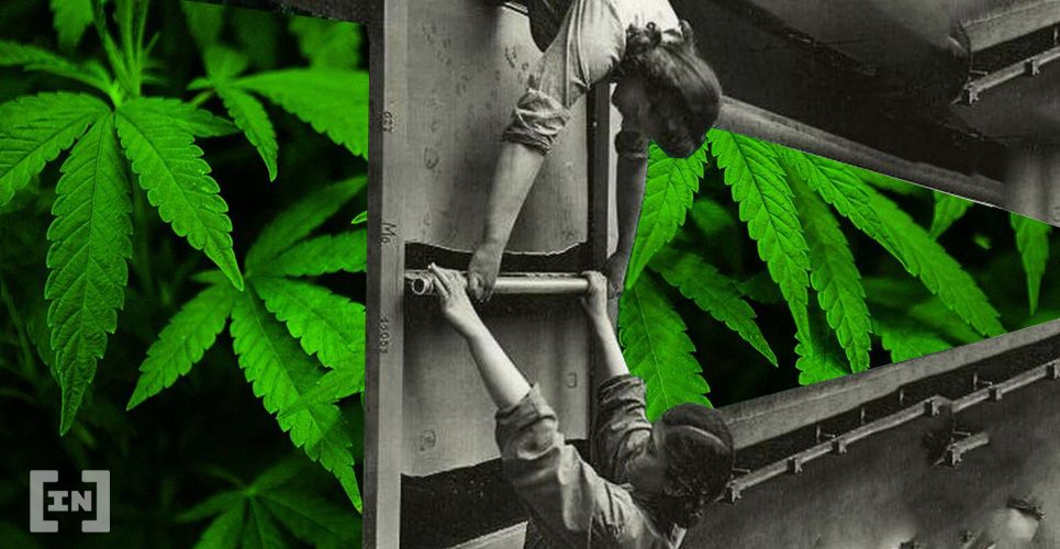 Google Play Censors Marijuana Apps, Opens Door for Decentralized App Stores