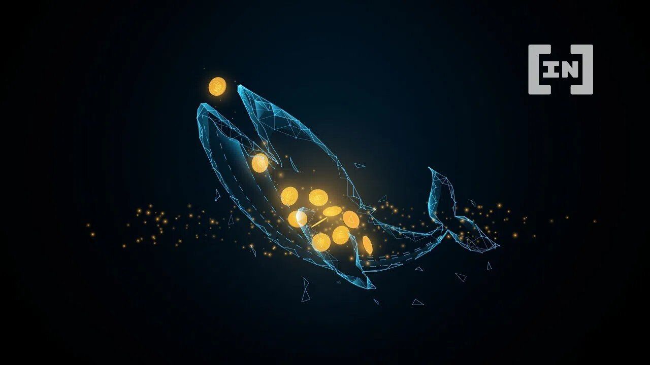 Биткоин-кит вышел из пятилетней спячки и переместил 500 BTC