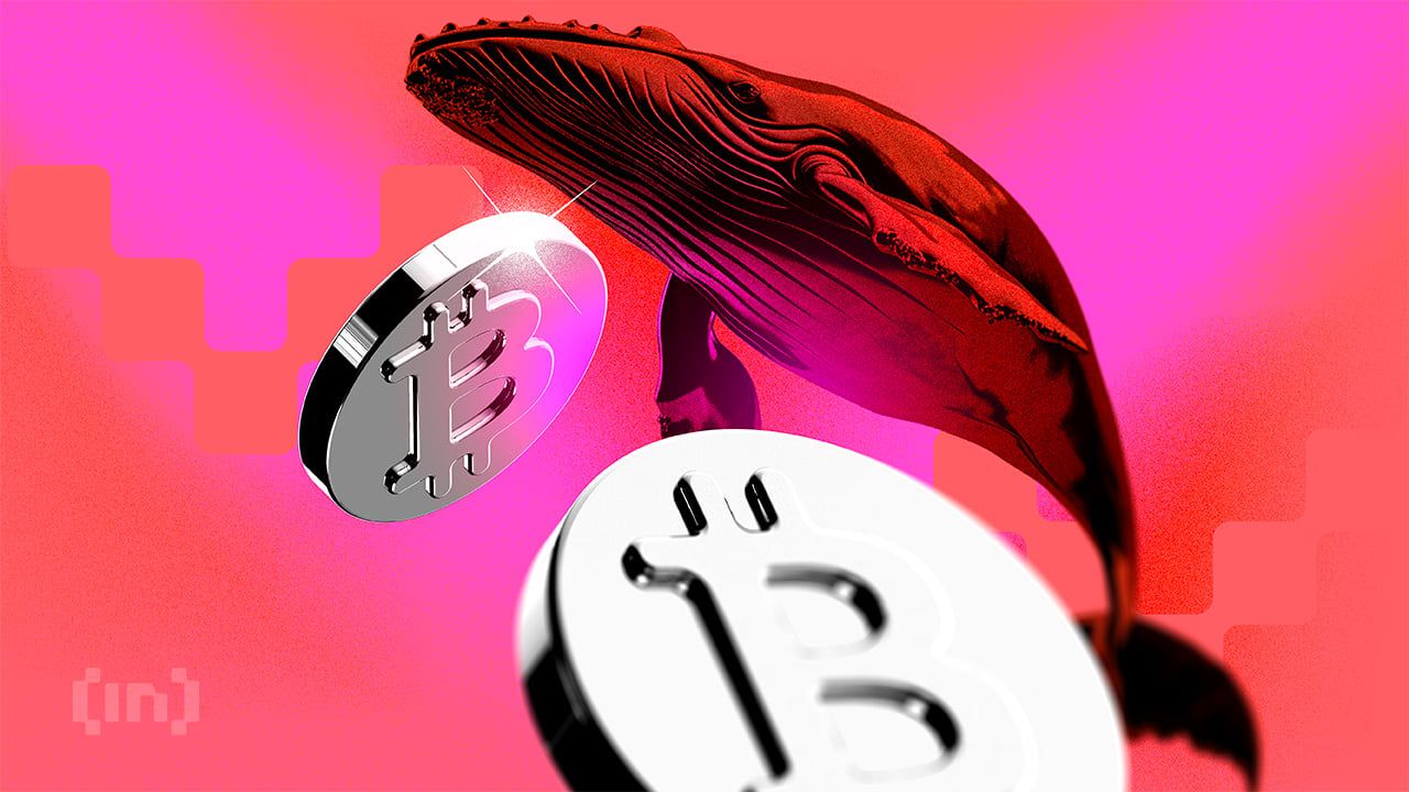 Whale Bitcoin Baru Kuasai 45% Realized Cap BTC, Kenapa Ini Bisa Jadi Sinyal Bahaya?