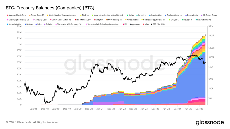 Bitcoin Treasury Balances