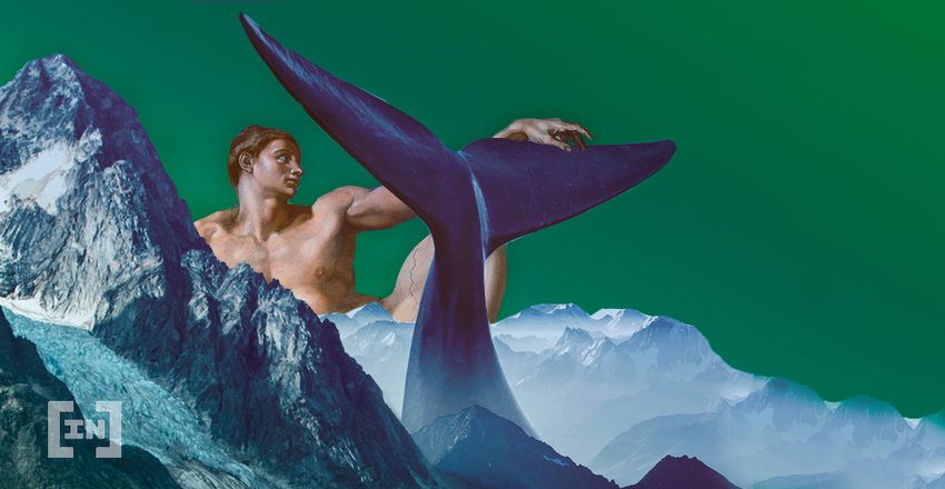 Whale