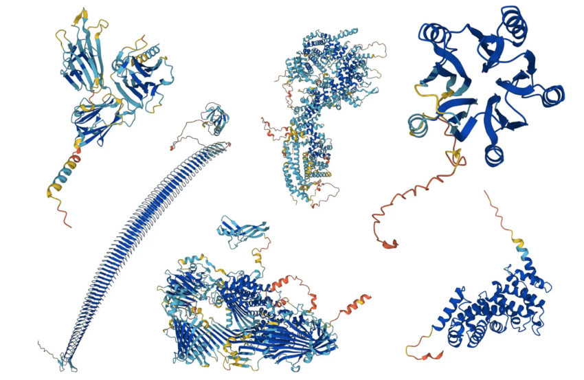 Biotech Inceptive to create proteins from an AI aglorithm.