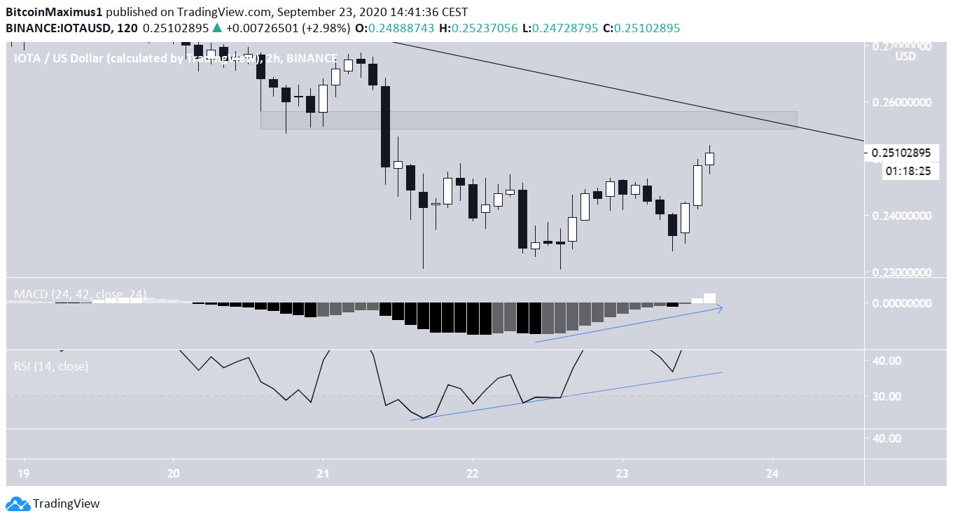 IOTA RSI Movement