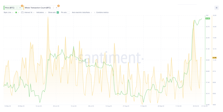 Whale transactions vs. Bitcoin price