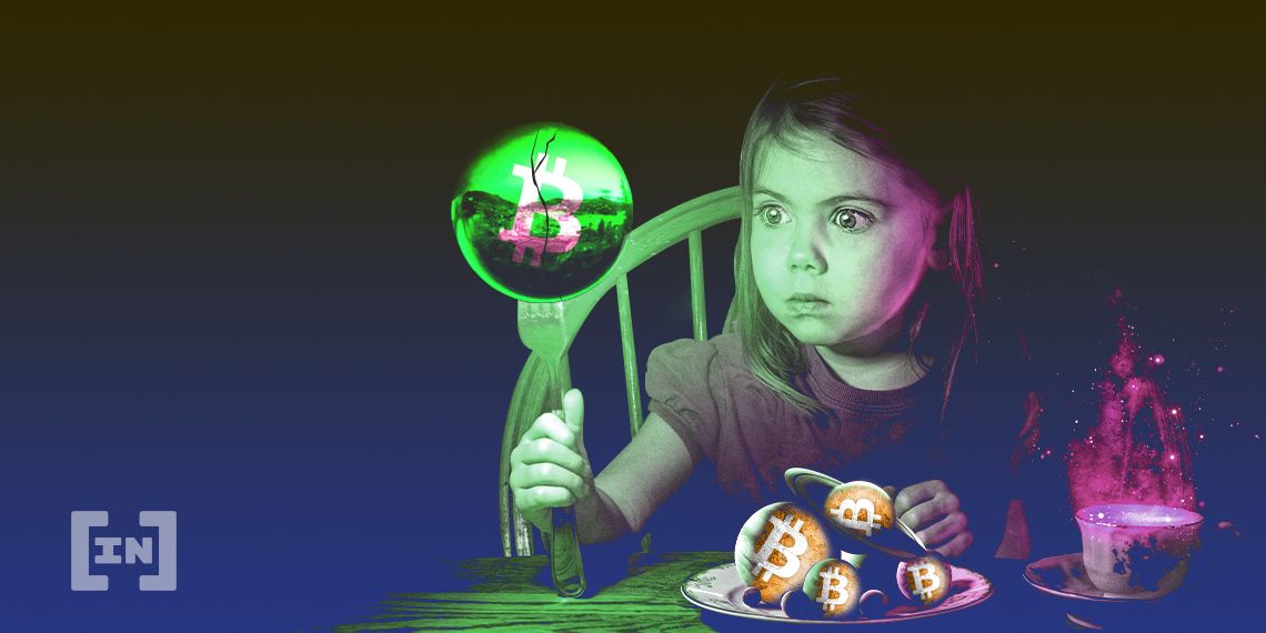BCH BTC Halving Future