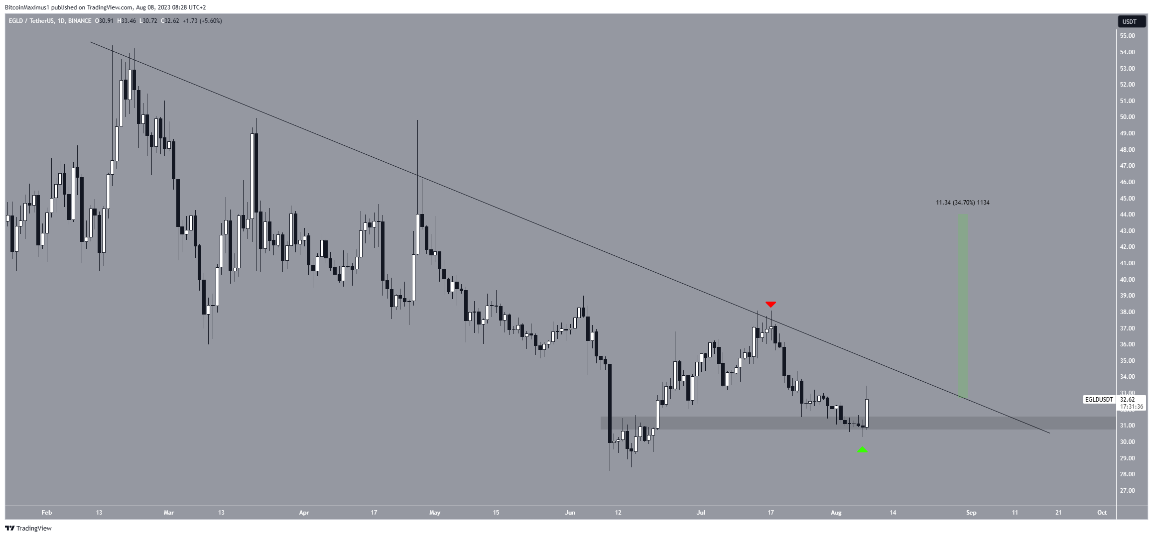 سعر عملة EGLD