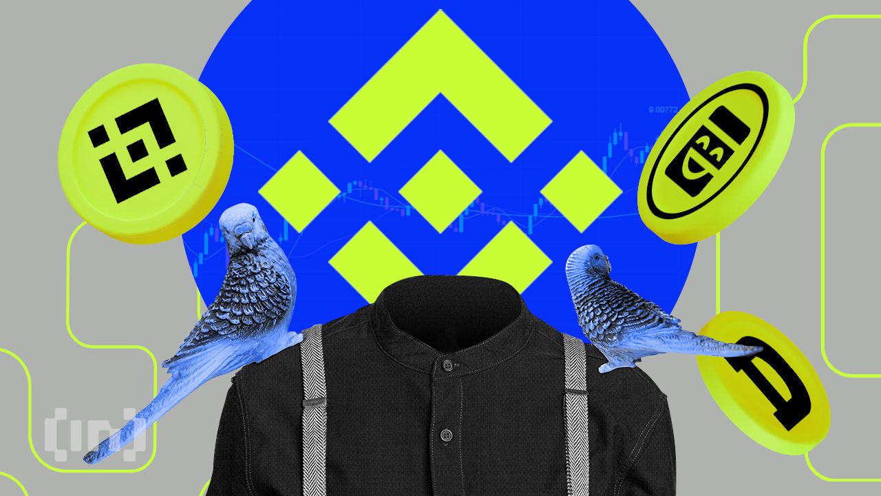 What Is Binance Bluebird Index?