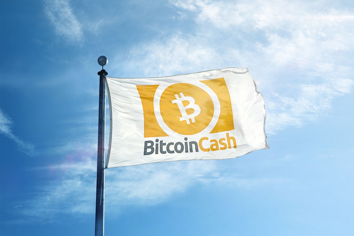 Bandera Bitcoin Cash 