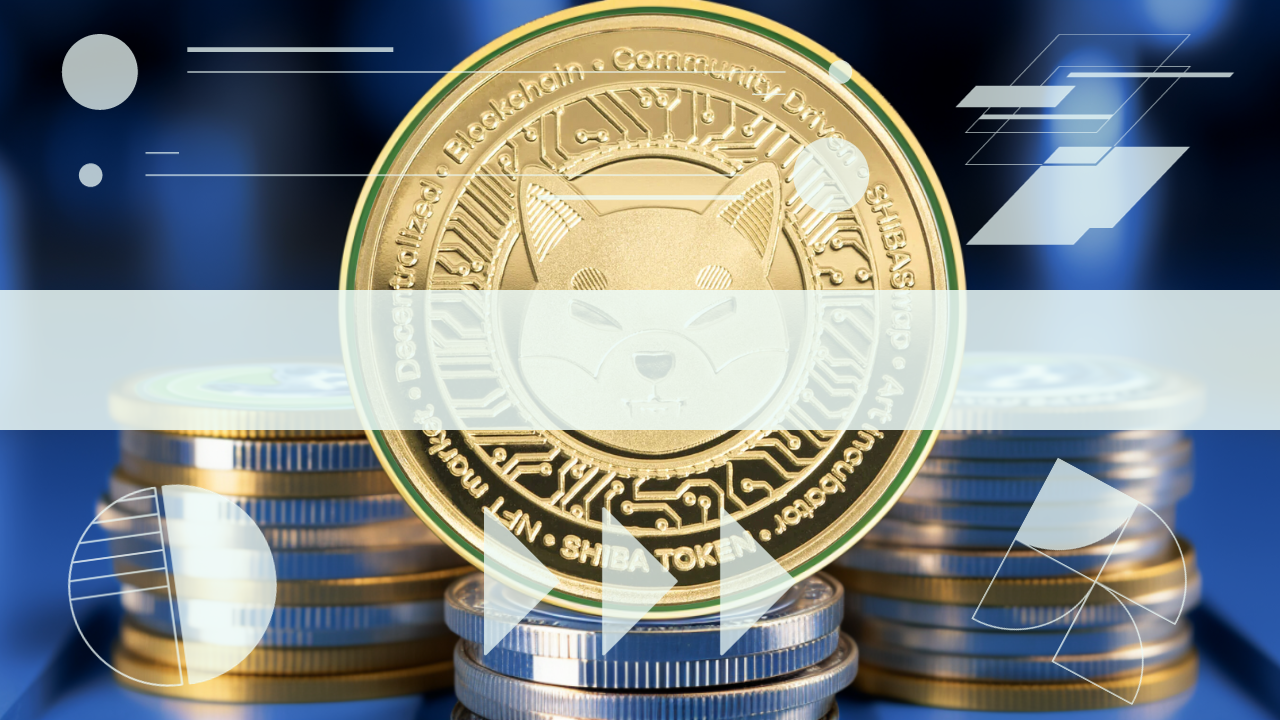 Will These 2 Meme Coins Be The First to Provide Shiba Inu Gains from 2021?