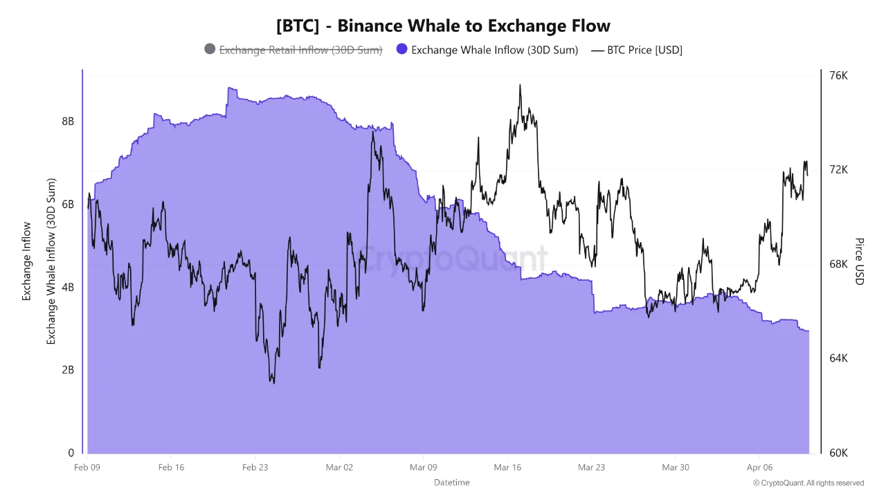 Bitcoin Whale Activity