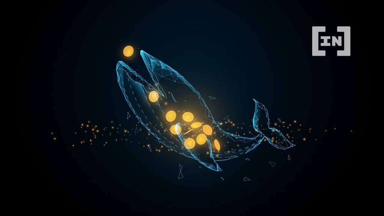 SHIB: Wale kaufen Shiba Inu für 386 Mrd. USD trotz Bärenmarkt