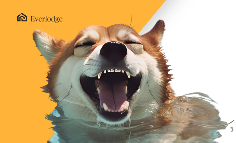 한국 고래 시바이누 축적 속, 카르다노⋅에버로지 가격 급등 전망