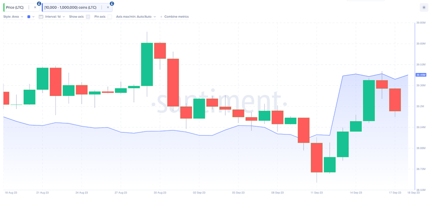 Why Litecoin (LTC) Price Could Relaim $80 | Whales Wallet Balances