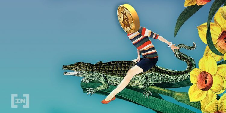 Czy dominacja Bitcoina pogłębi kryzys altcoinów?