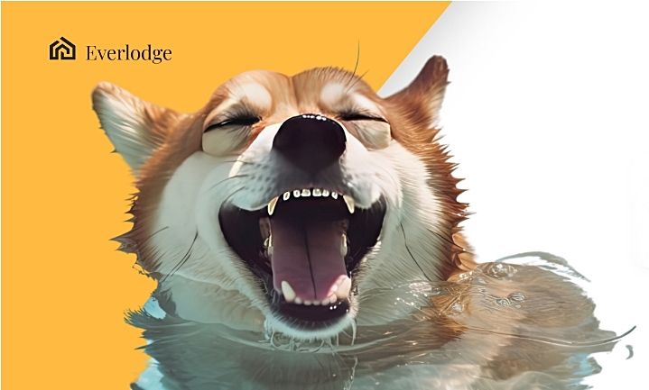 “วาฬไทย” กว้านซื้อ Shiba Inu อย่างต่อเนื่อง, ราคาของ Cardano และ Everlodge เตรียมขยับตัวสูงขึ้น
